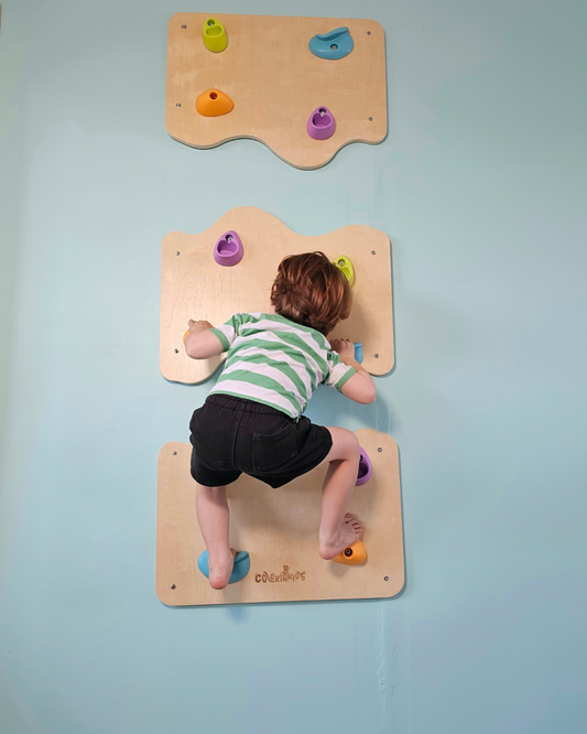 MURO ESCALADA TREPAKIDS