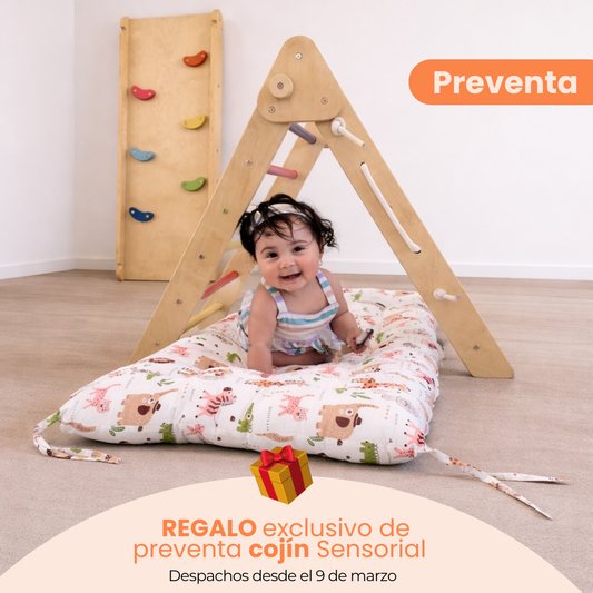 [PREVENTA] Triángulo Pikler 3 en 1 - Explora, Juega y Crea